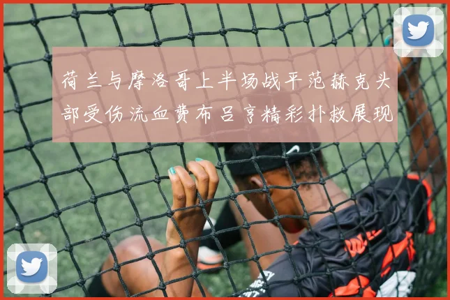 荷兰与摩洛哥上半场战平范赫克头部受伤流血费布吕亨精彩扑救展现实力