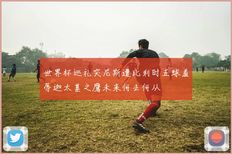 世界杯巡礼突尼斯遭比利时五球羞辱迦太基之鹰未来何去何从