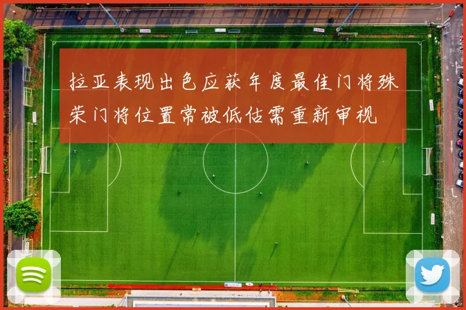 拉亚表现出色应获年度最佳门将殊荣门将位置常被低估需重新审视